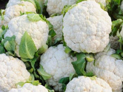 Phool Gobhi (Cauliflower).