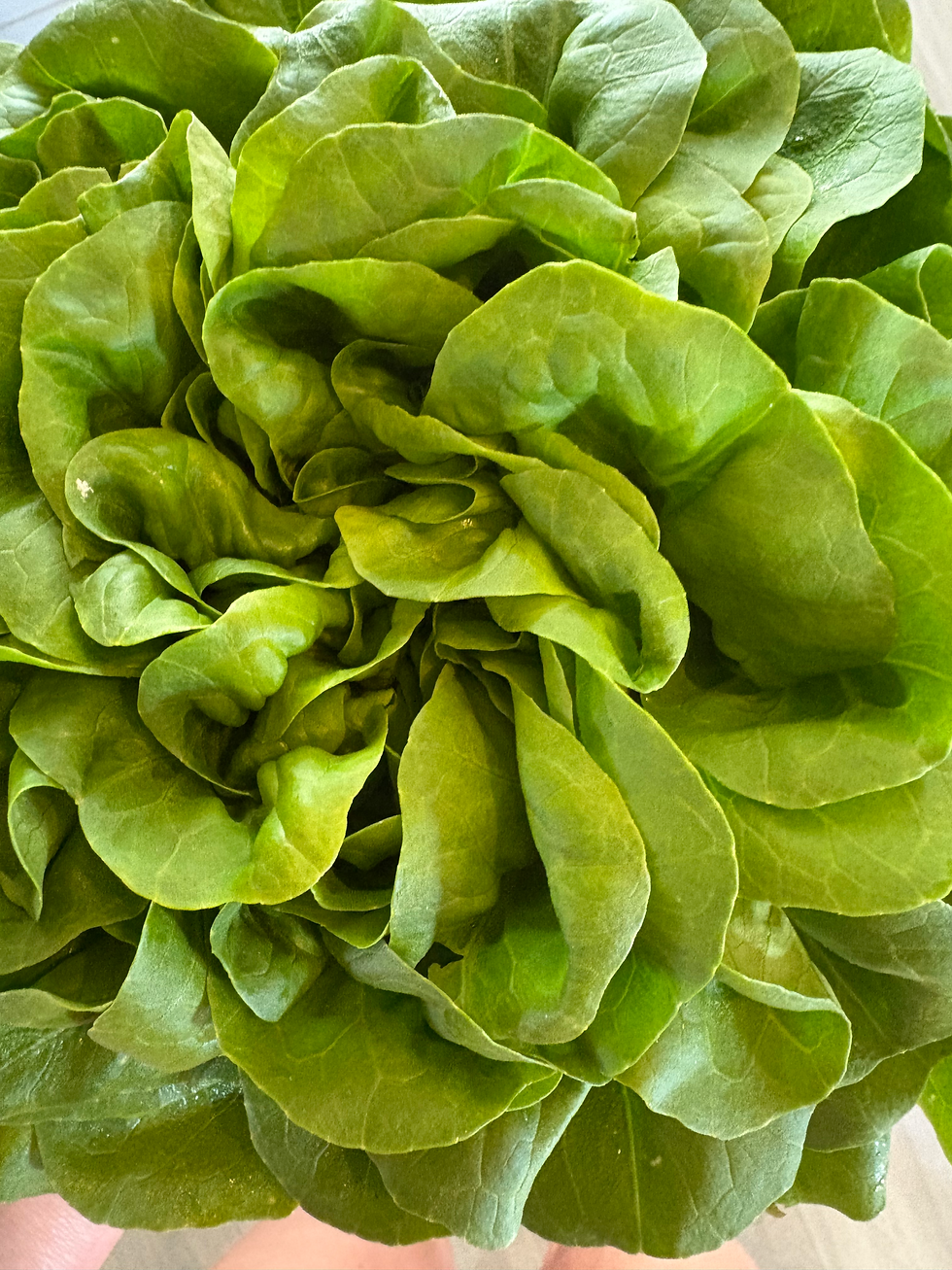 6-RETTERS ASIATISK MENY 