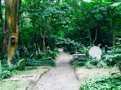Highgate Cemetery