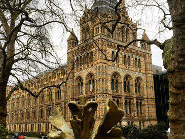 London: The Good, The Bad & The Ugly