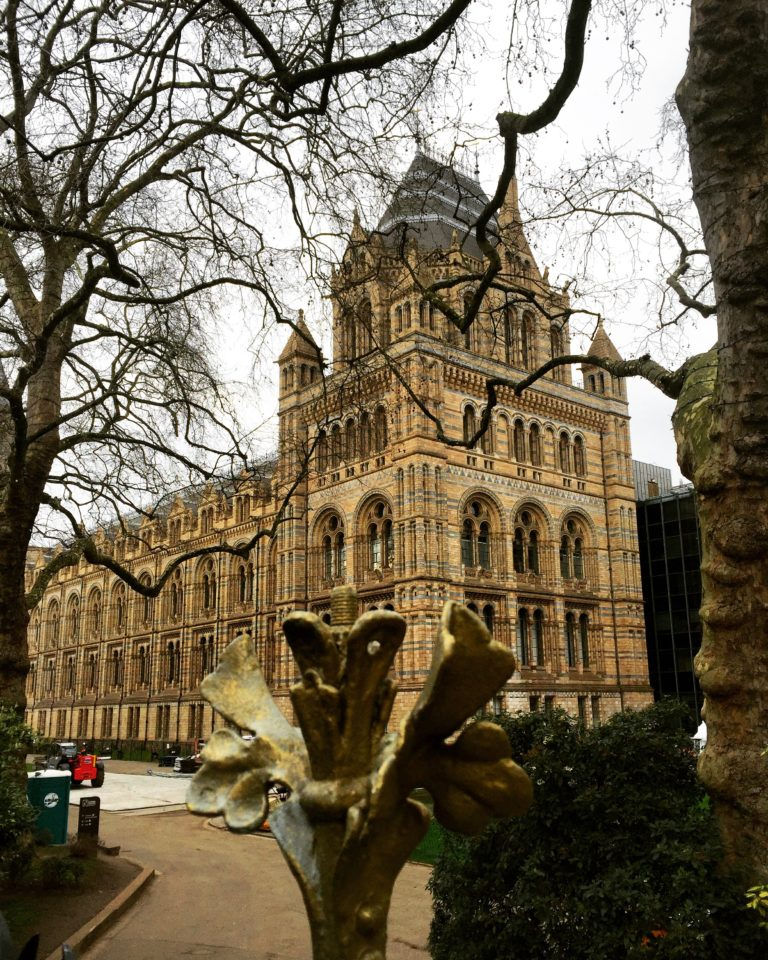 Natural History Museum