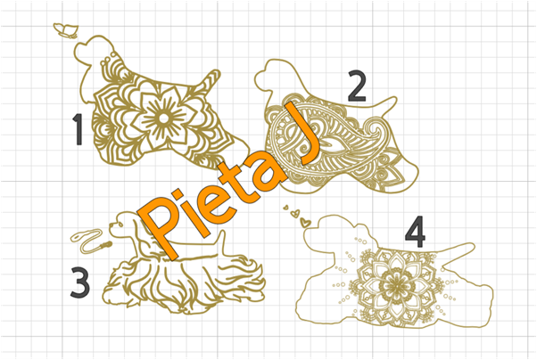 American Cocker Samples