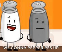 saltpep-salt-and-pepper.gif