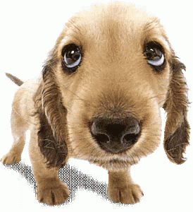 4d980ef01e0603ee734a56473ad158c7.gif