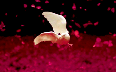 1646564359411.gif