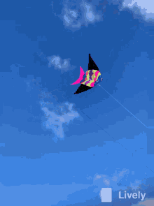 kite-fly.gif