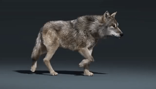 a2c0512df83977e5b693324a26b4cf4d.gif