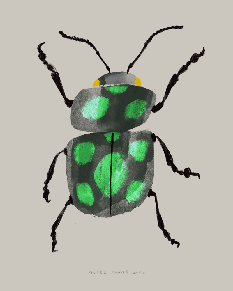 beetle.gif