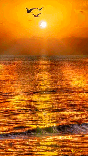 6748f26ef2cfe55fdc1f7f142e395978.gif