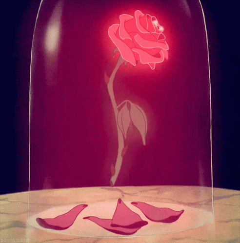 beauty-and-the-beast-rose.gif