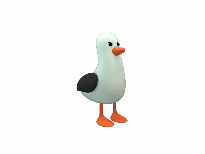 seagull_800x600.gif