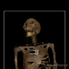 glitch-vibes-skeleton.gif