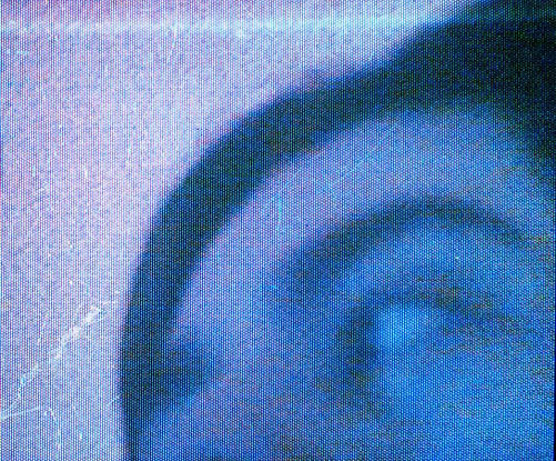 20250727_18502233.jpg