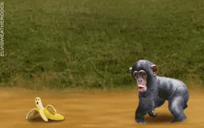 be934d48a76a7702c99bf9e1ee4587ca.gif