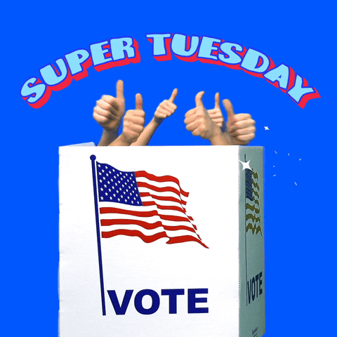 vote.gif