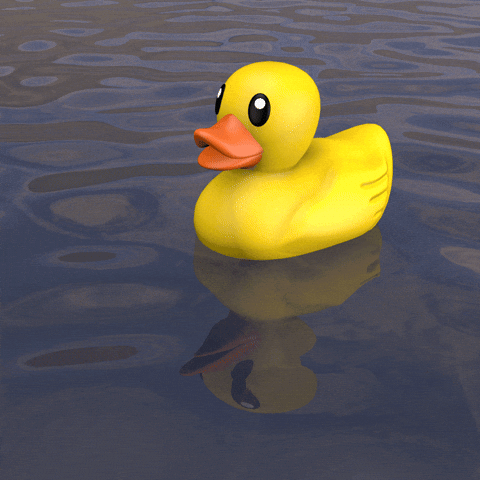 giphy.gif