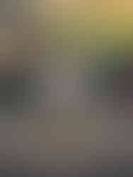 Sam lifts weights at the gym.