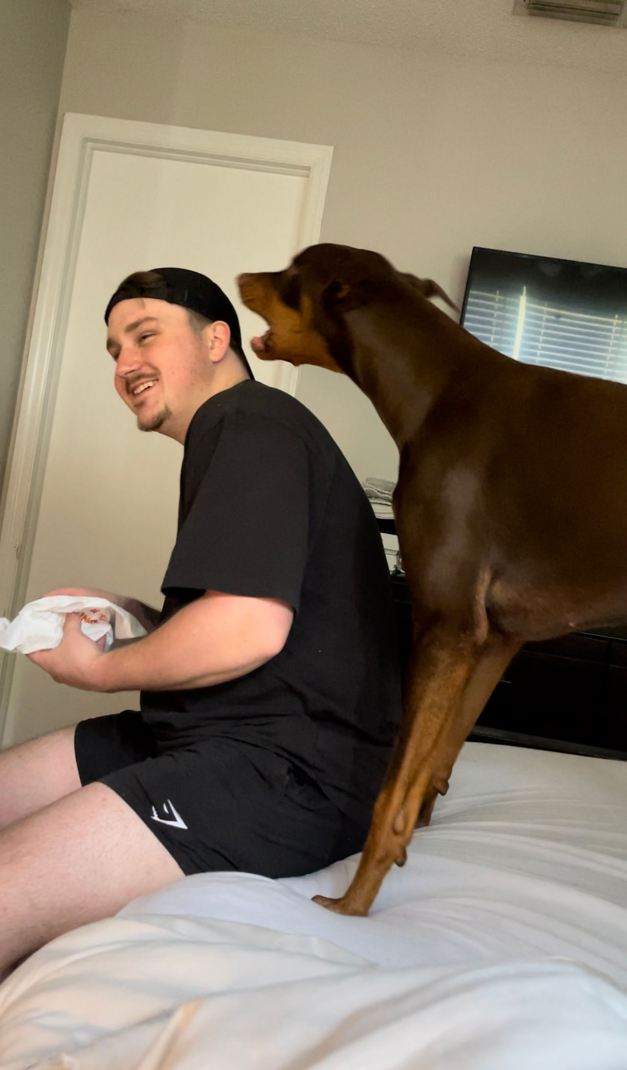 Sam is all smiles playing with Kilo.