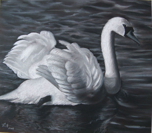 Swan