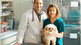 Veterinary Medicine