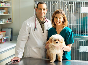 CURSO BONIFICADO ADMINISTRATIVO  RECEPCIONISTA EN CLINICAS VETERINARIAS