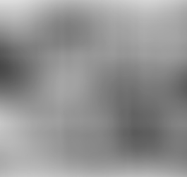 Tony Vomits Punk, the books