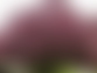 April By the Numbers: A Rant