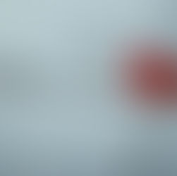 Yep, another snowy day poem: