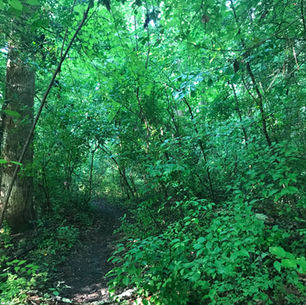 It’s Rainin’ So Hard.