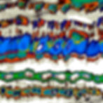 Cadena celular-2010