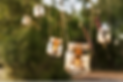 Bild32.png