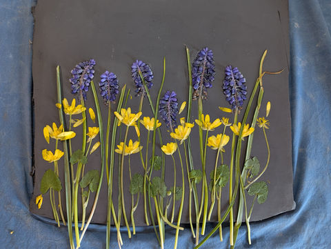 Empreintes sur argile – Naissance d’une œuvre