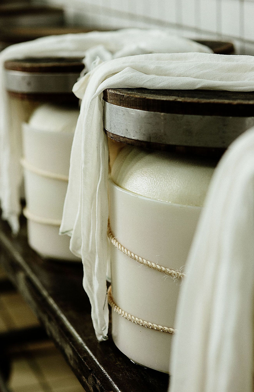 Chiusura forme di Parmigiano Reggiano