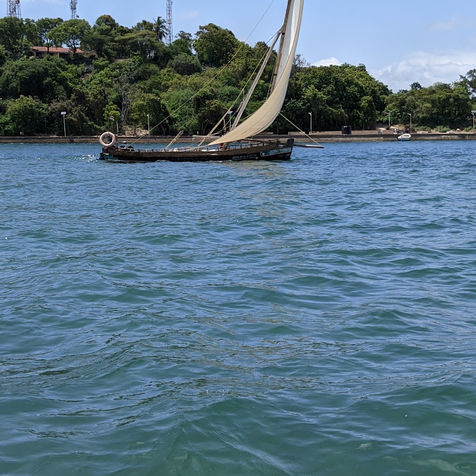 Lamu costa.jpg