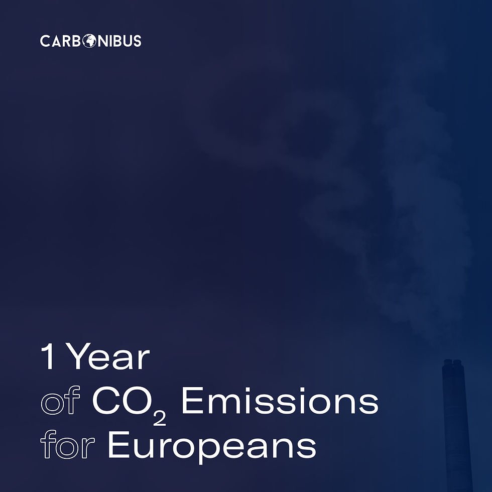 Carbon Credits Carbonibus carbon-credits-carbonibus