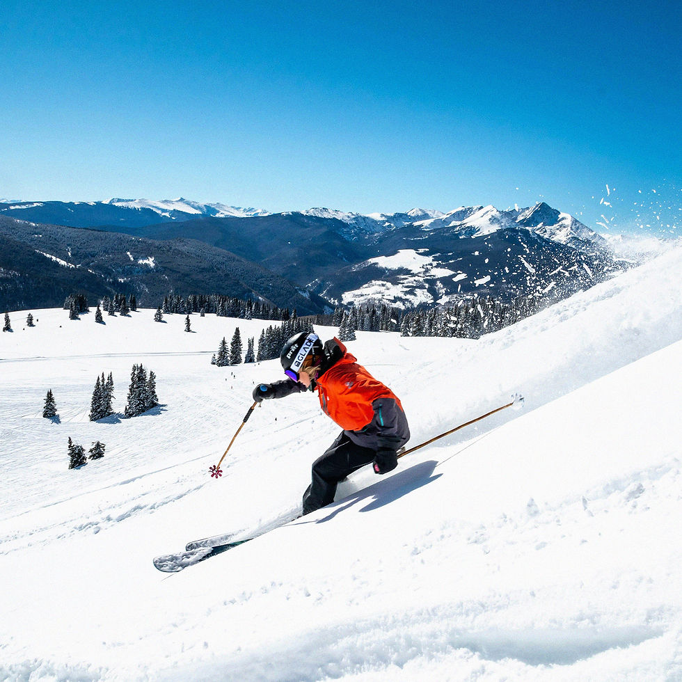 Attrezzatura sci King Ski