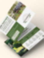Flyer für Nettlenbusch