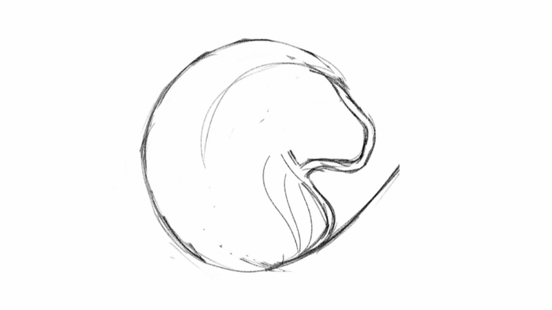 PERNOVA-Design-Neurodiversum-Logoentstehung gif