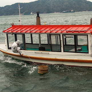 Pescatrici di ostriche perlifere