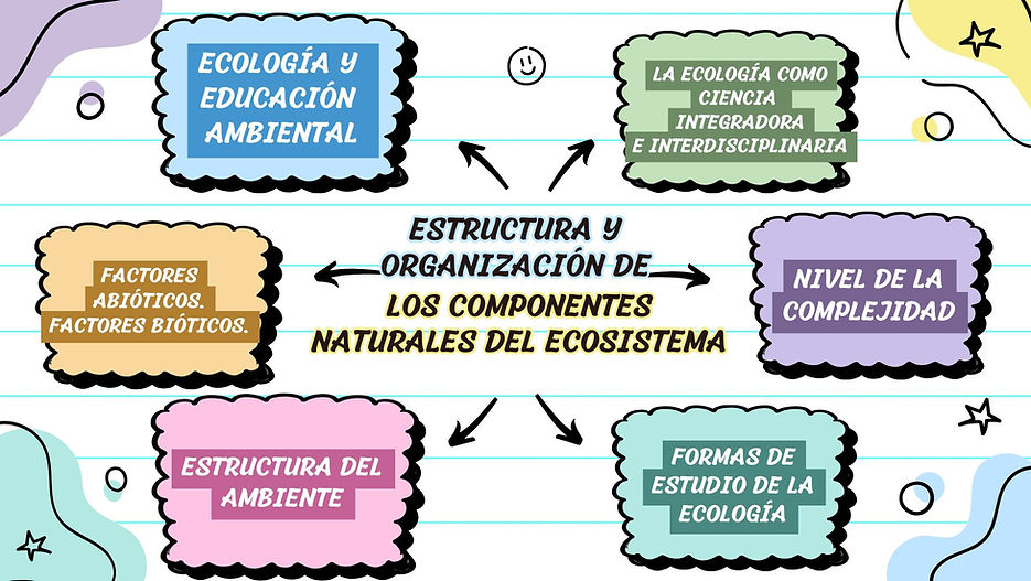 Lluvia de Ideas Mapa Mental Creativo Colorido (2).jpg