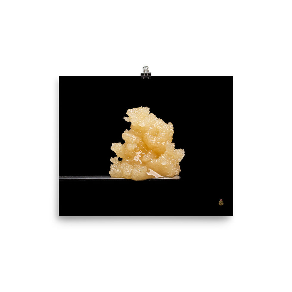 Thumbnail: Ice Cream Cake Photo Paper Poster