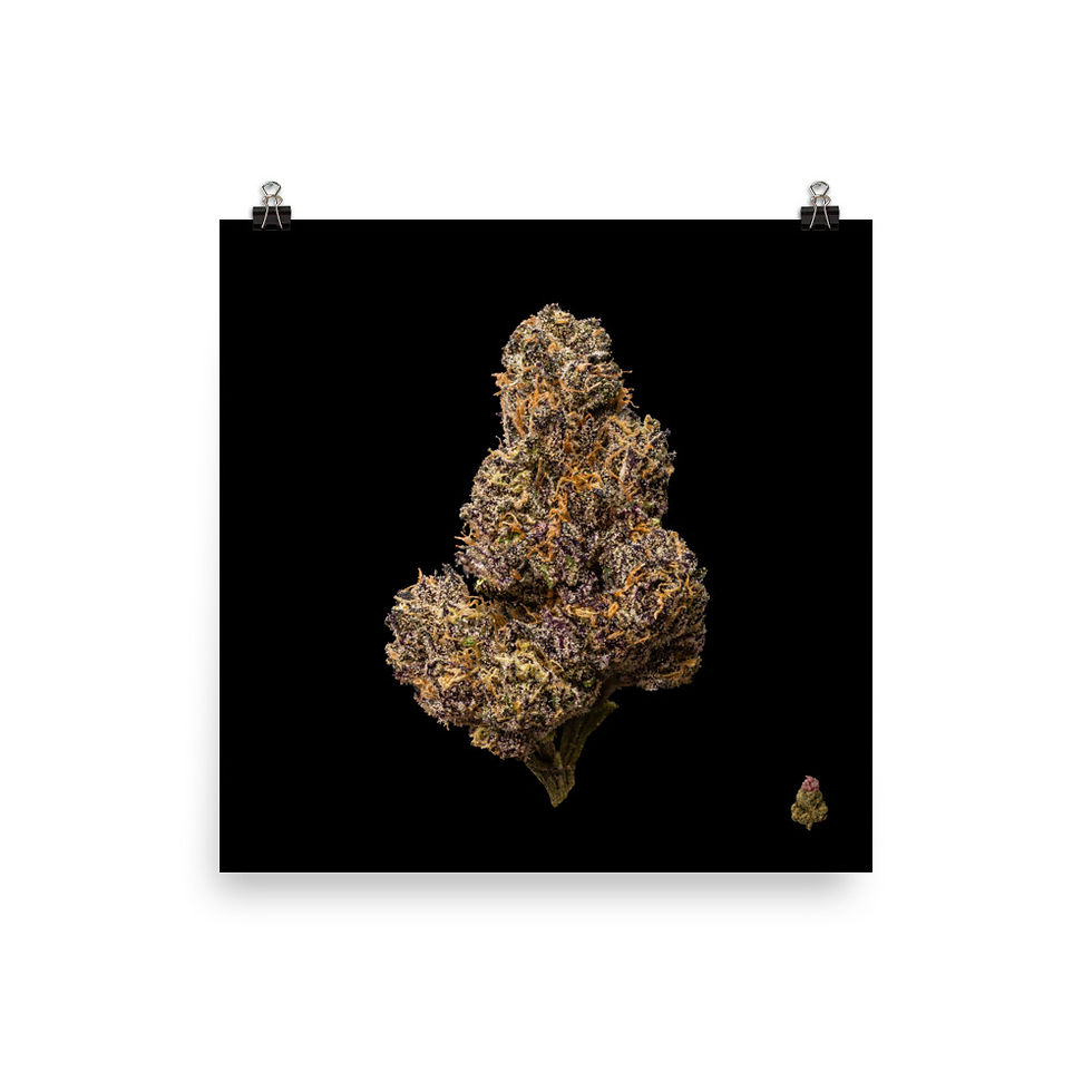 Thumbnail: Bacio Gelato Photo Paper Poster