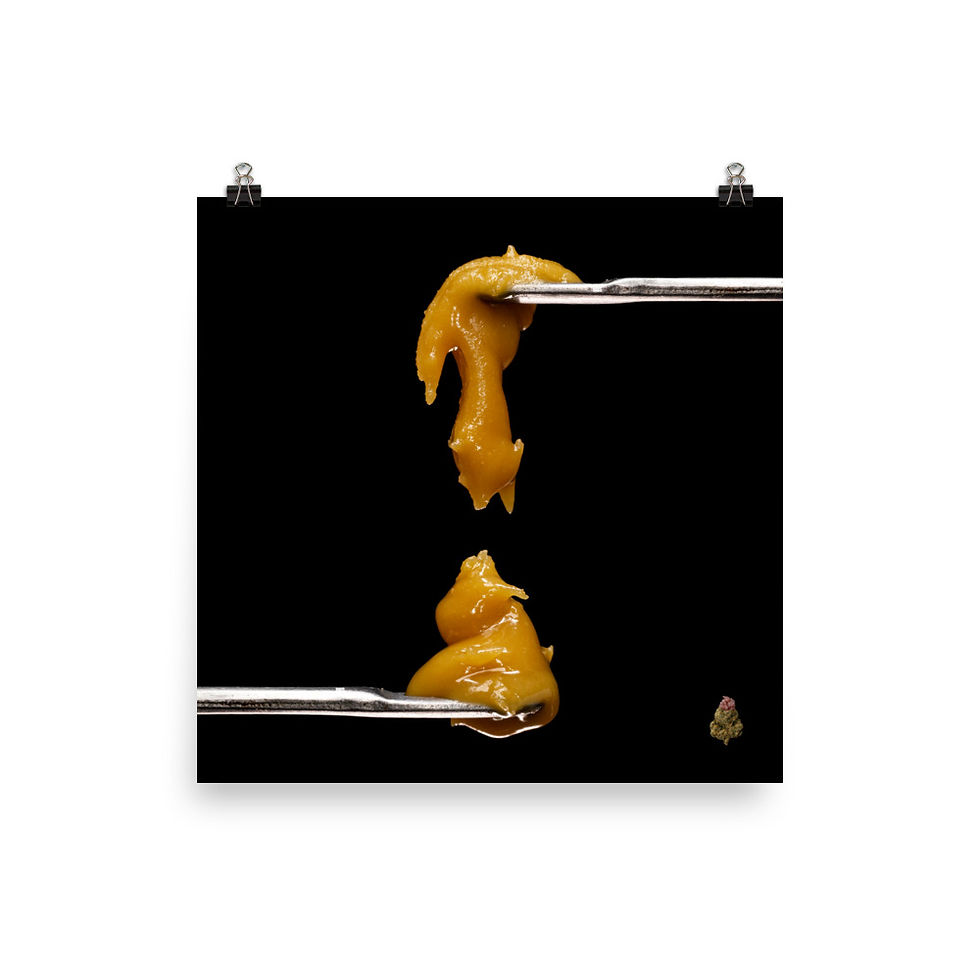 Thumbnail: Runtz Photo Paper Poster