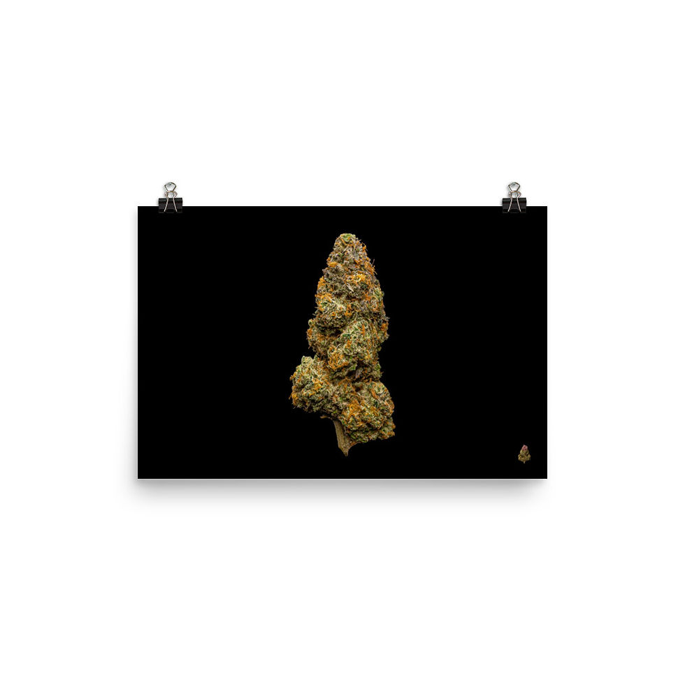Thumbnail: Garlic Juice Photo Paper Poster 