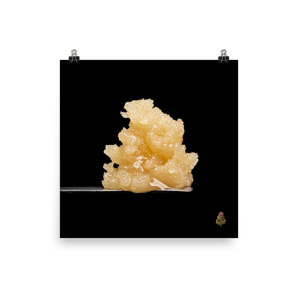 Thumbnail: Ice Cream Cake Photo Paper Poster