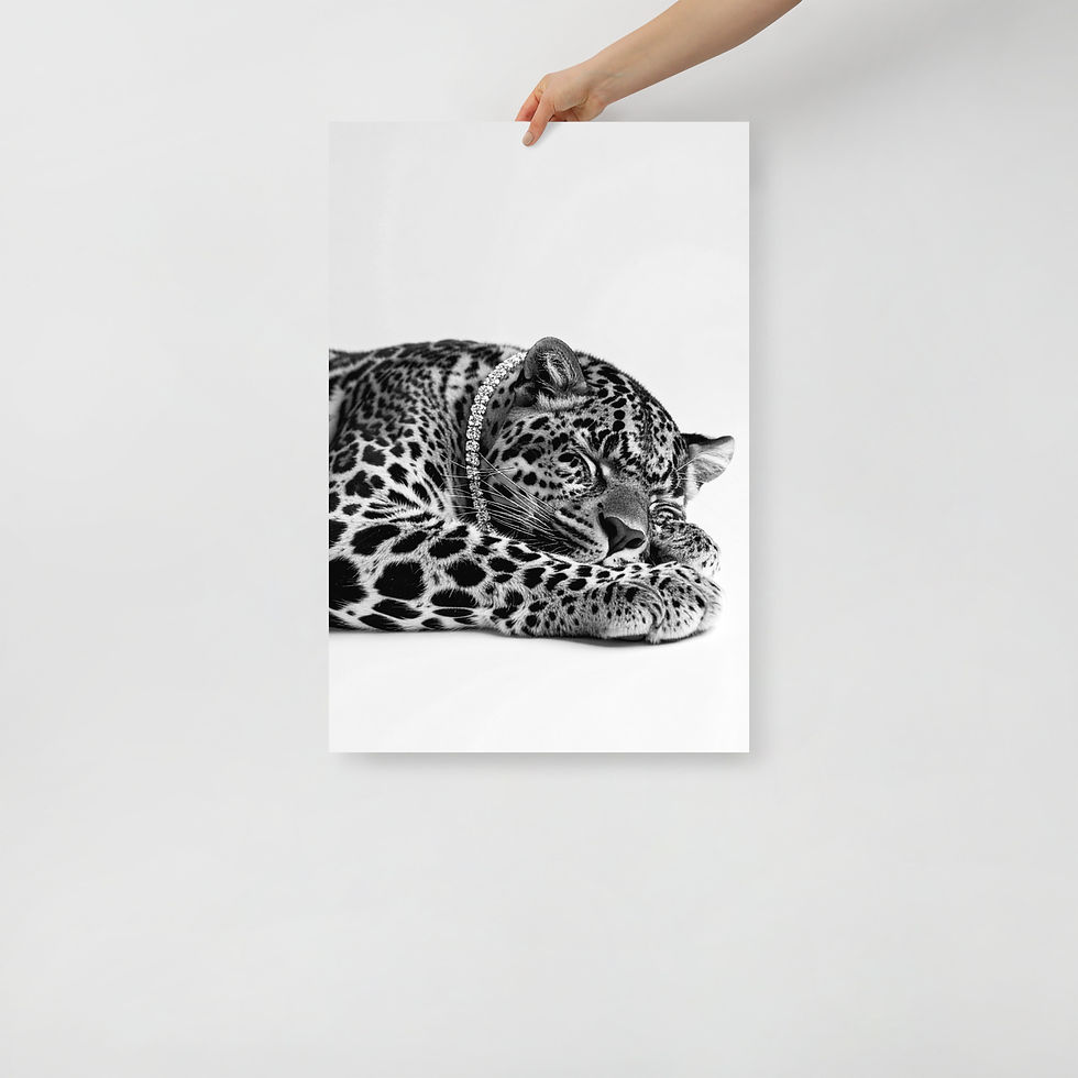 Thumbnail: Sleeping Leopard – Black & White Animal Portrait – Diamond Necklace Poster