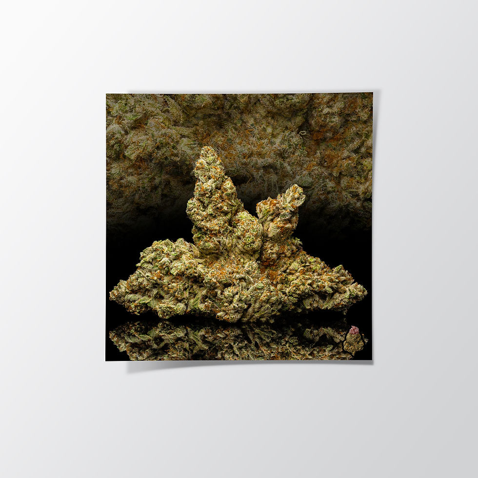 Thumbnail: Jealousy Photo Paper Poster