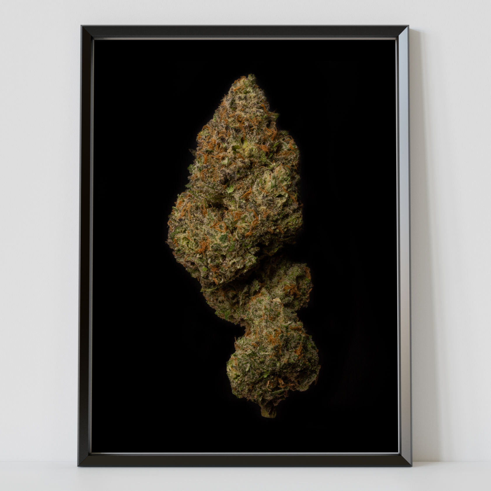 Forbidden Fruit X Watermelon Zkittlez Photo Paper Poster
