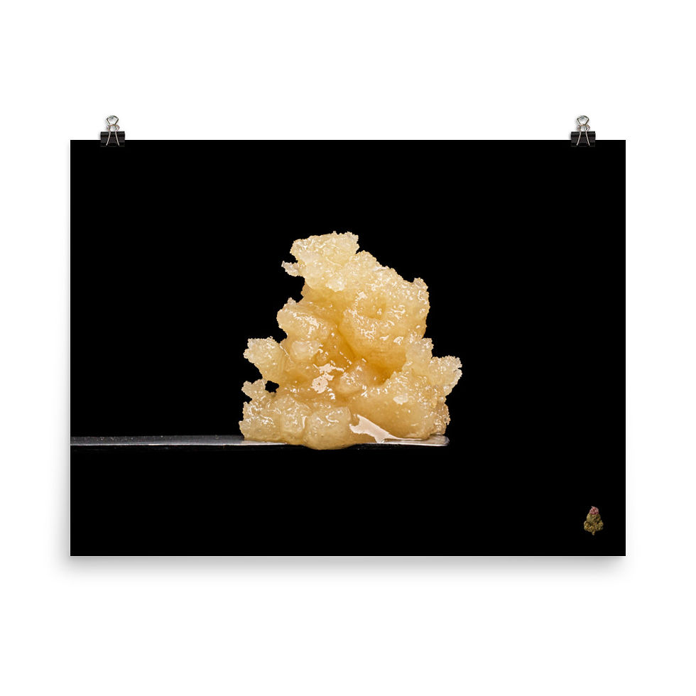 Thumbnail: Ice Cream Cake Photo Paper Poster