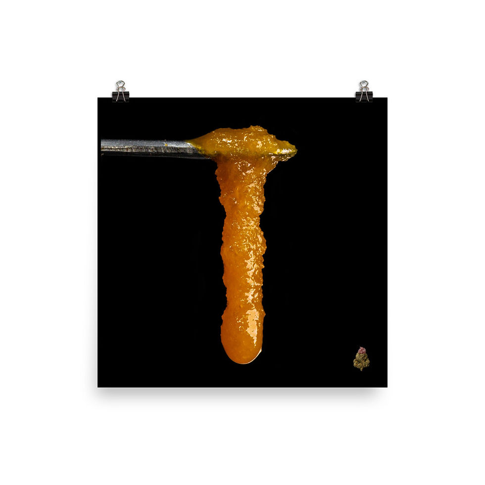 Thumbnail: Dawgscotti Photo Paper Poster